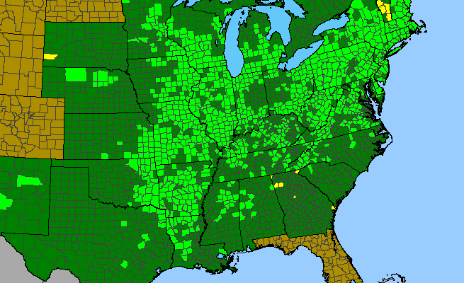 The range of Polygala sanguinea